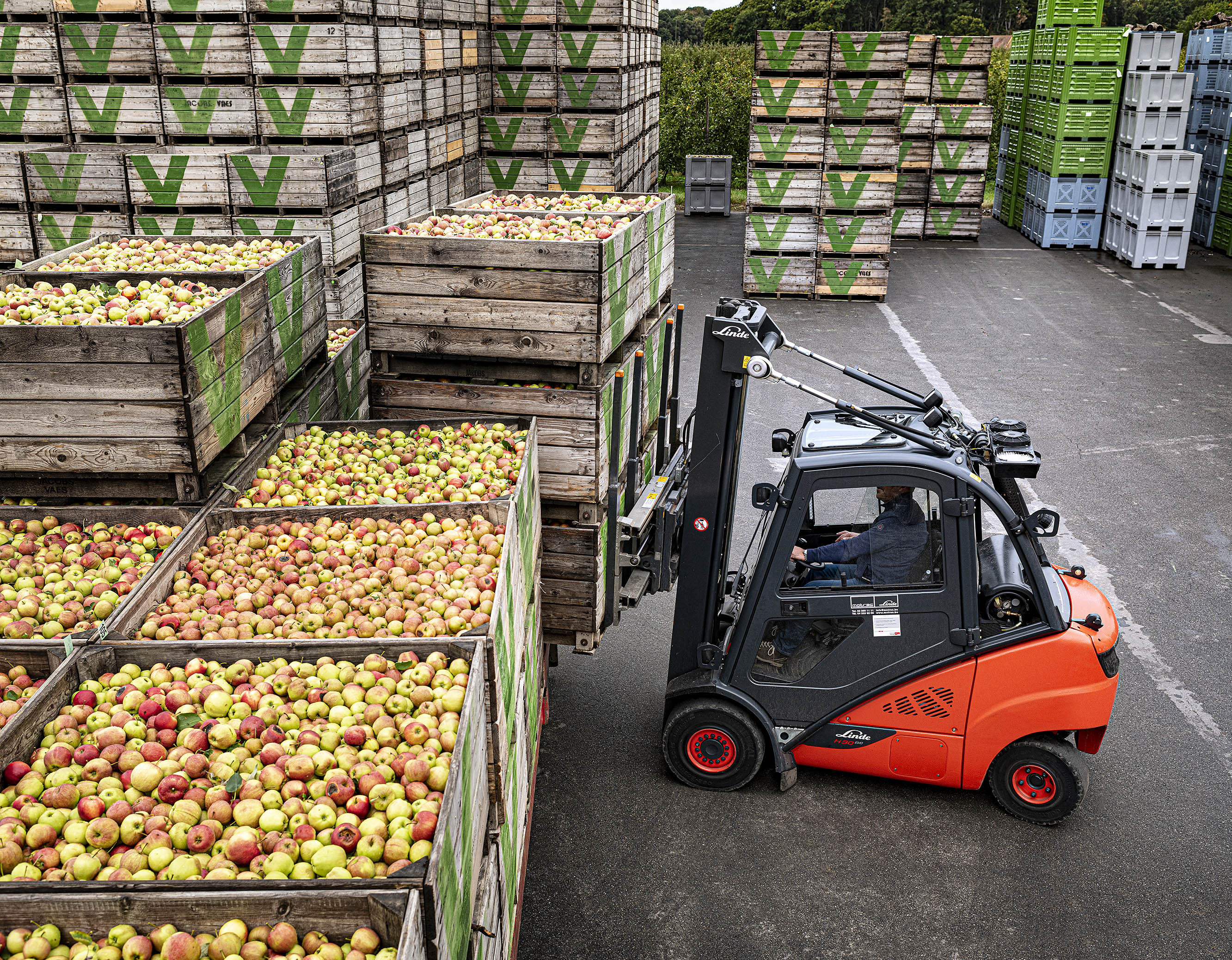 Linde heftruck met kratten appels