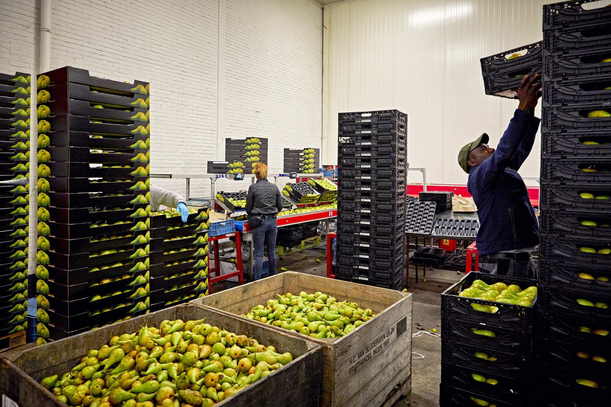 Blijderveen Fruit kisten